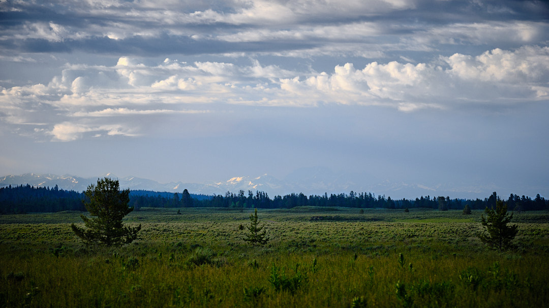 Photo of distant mountains from a field in Island Park, Idaho.