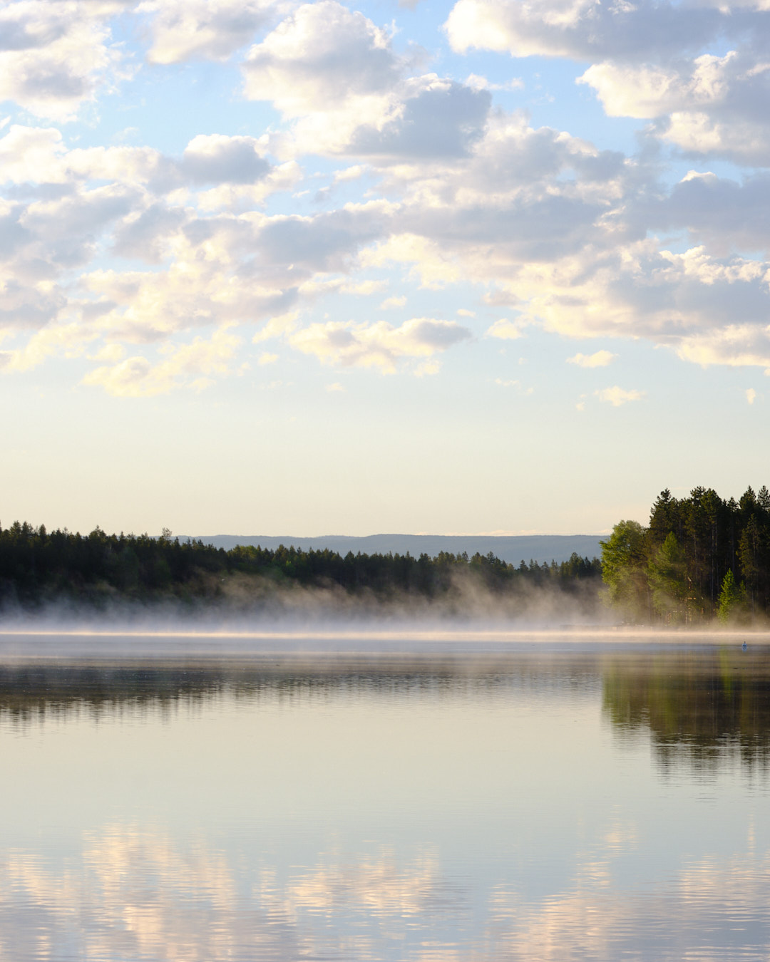 Photo of a mist on top of a lake, among pine trees, in Island Park, Idaho.