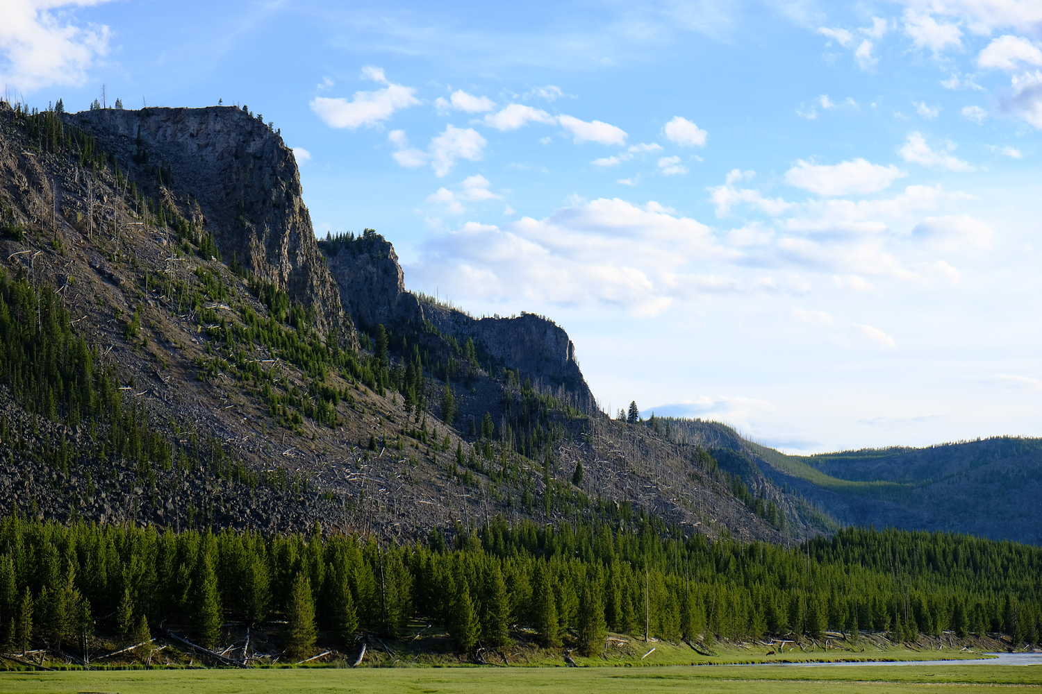 Photo of a Mountain Range within burned trees near Madison Junction in Yellowstone National Park