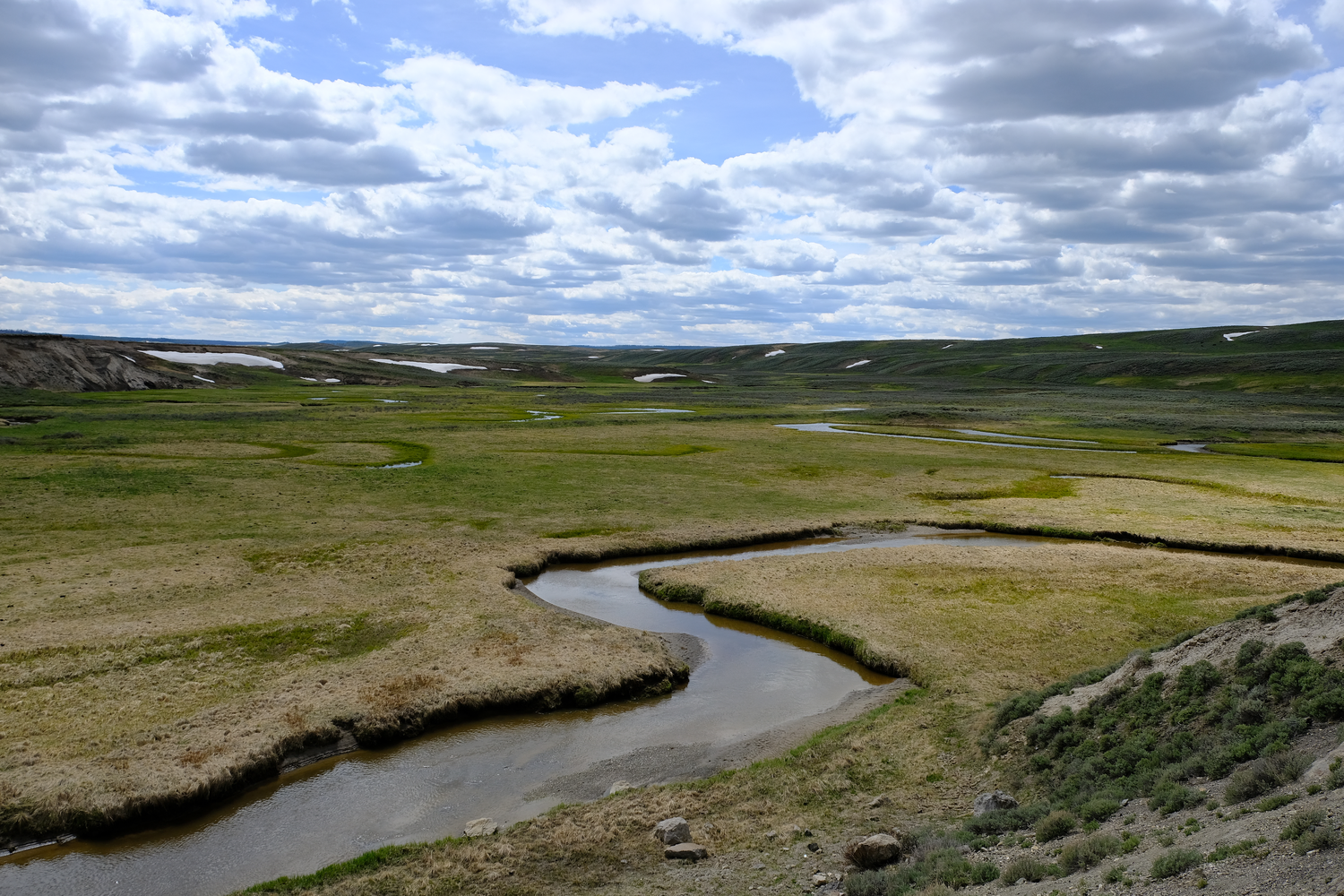 Photo of a windy stream in a pond area in Yellowstone National Park